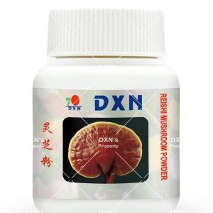 HONGO REISHI EN POLVO 70G